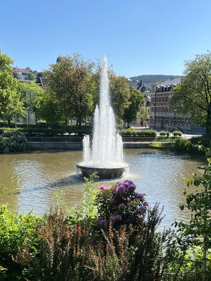 Goethe Palais Suite Charlotte 4P L Lift I Parkplatzi Zentrum I Helios Aue  Bagian luar foto